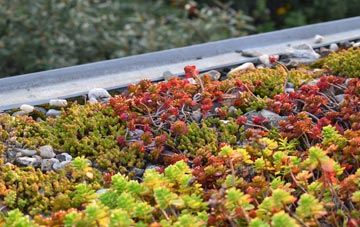 the cost of Lingfield Common green roof installation